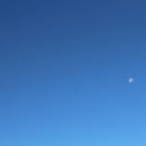 Meet your Posher, Trinh